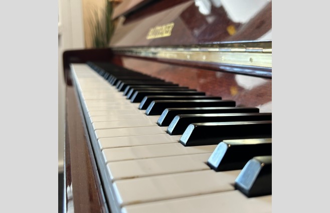 Bluthner Polished Mahogany 110 Upright Silent Piano, Used - All Inclusive Premium Package (SN:143037) - Image 10